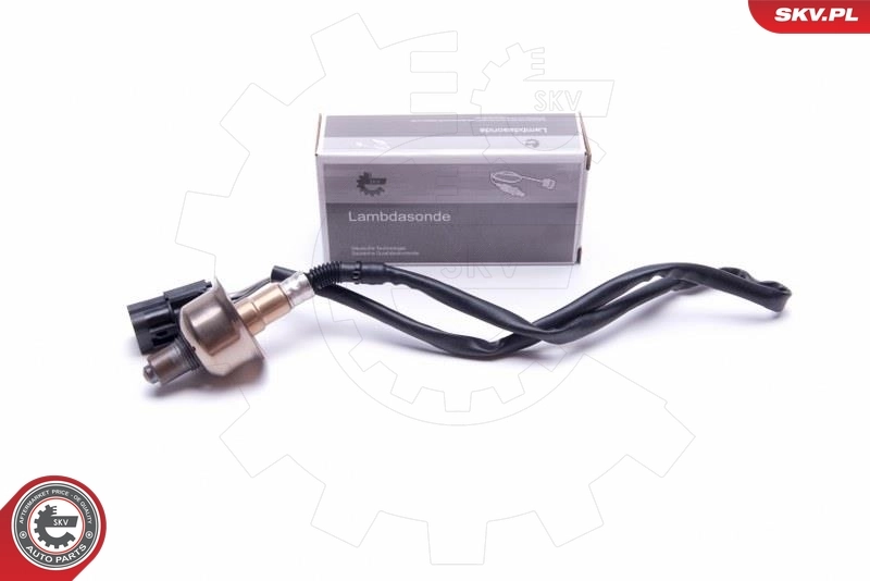 Oxygen Sensor
